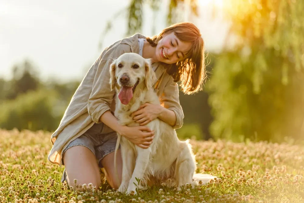 Woman hugging her golden retriever during a joyful puppy training session in a sunny Chicago field.