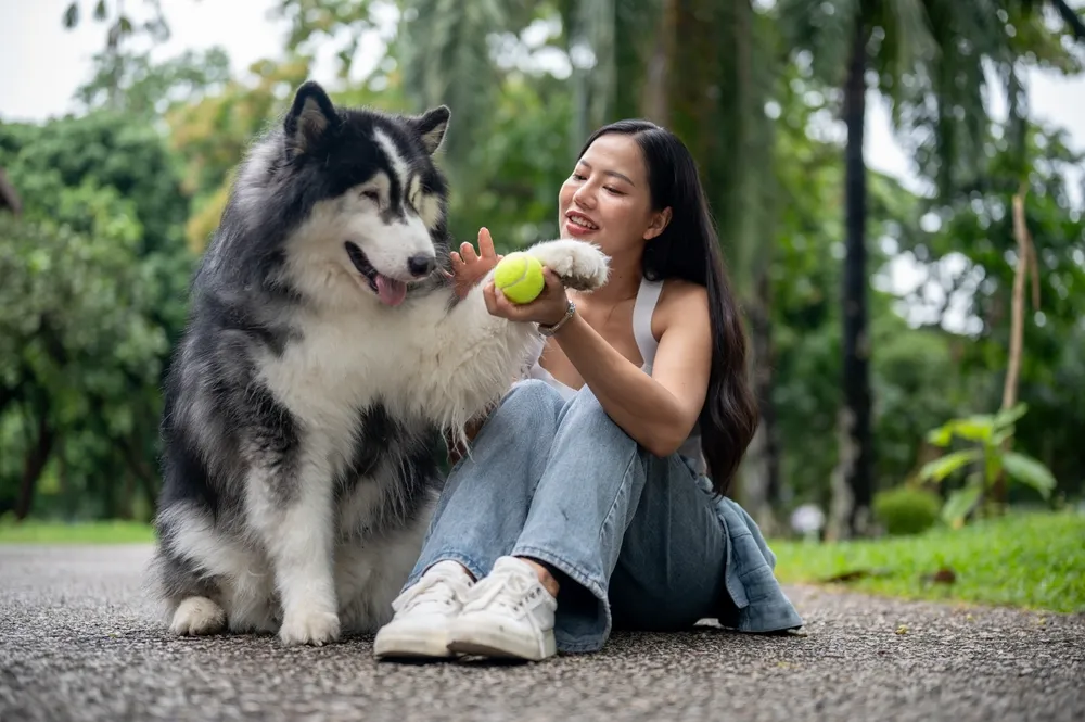 Woman playfully engaging with a large dog during a relaxed park session, showcasing a friendly and effective training style.