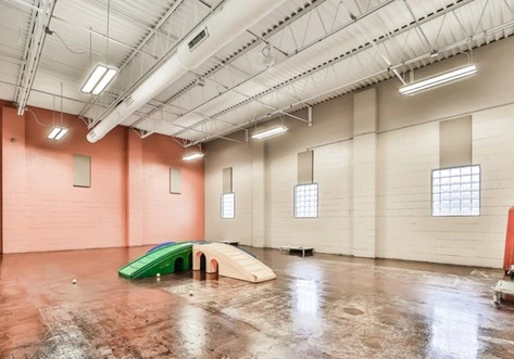 A large dog playroom with pink and beige walls, featuring two colorful slides and natural light from windows.