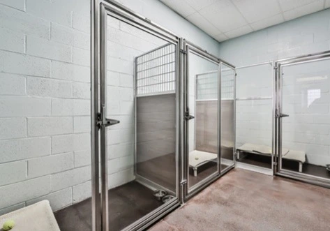 Several empty dog kennels with metal frames and raised beds on the floor.
