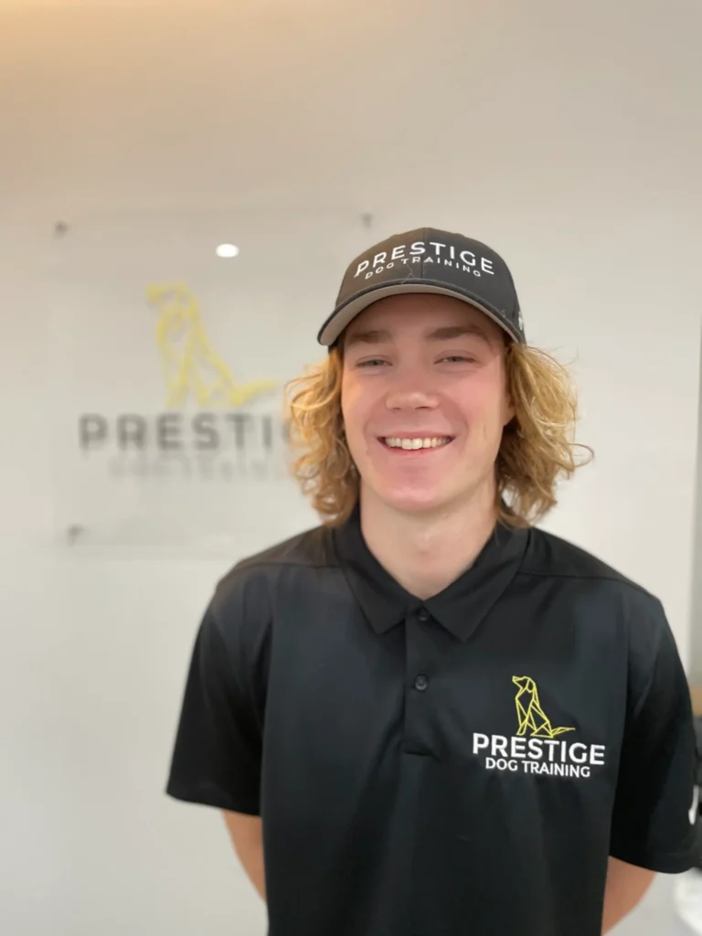 Adonis - Prestige Dog Trainer