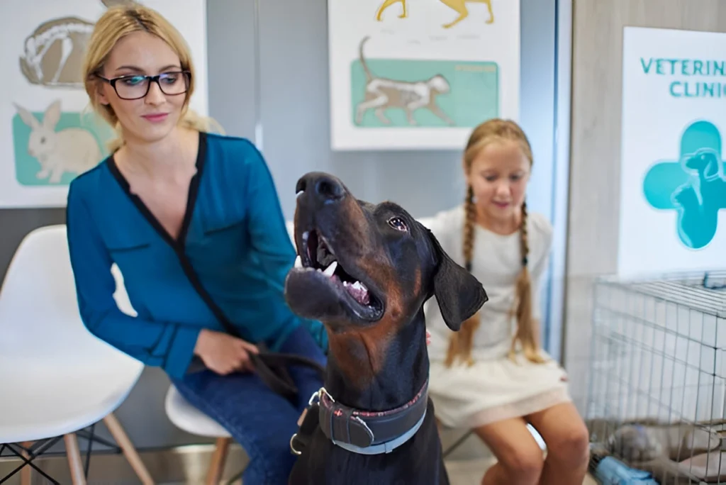 Woman and child with a Doberman at a veterinary clinic, illustrating considerations related to therapy dog training cost.