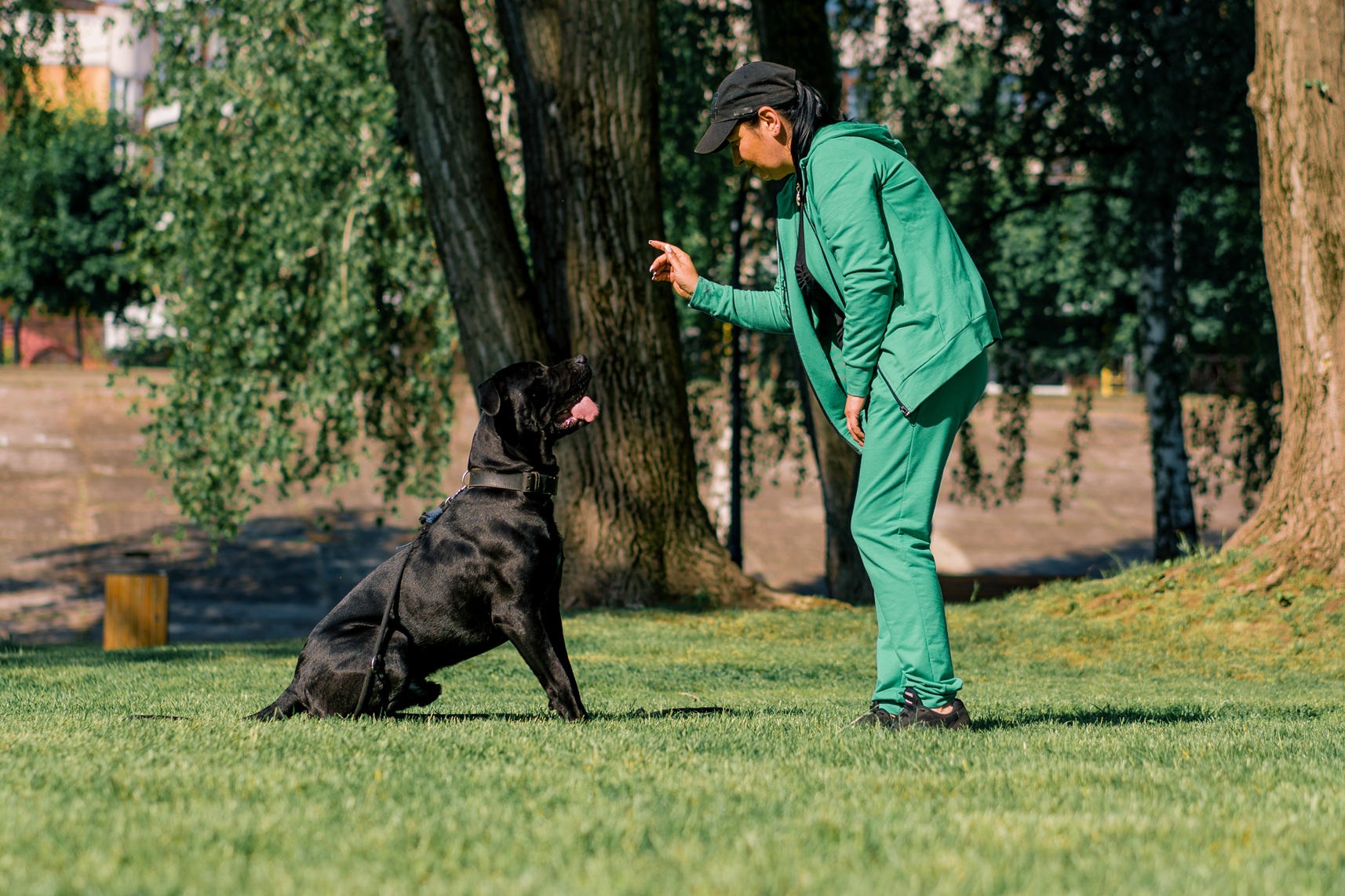Training vs. “Waiting It Out”: Why Behavior Won’t Fix Itself