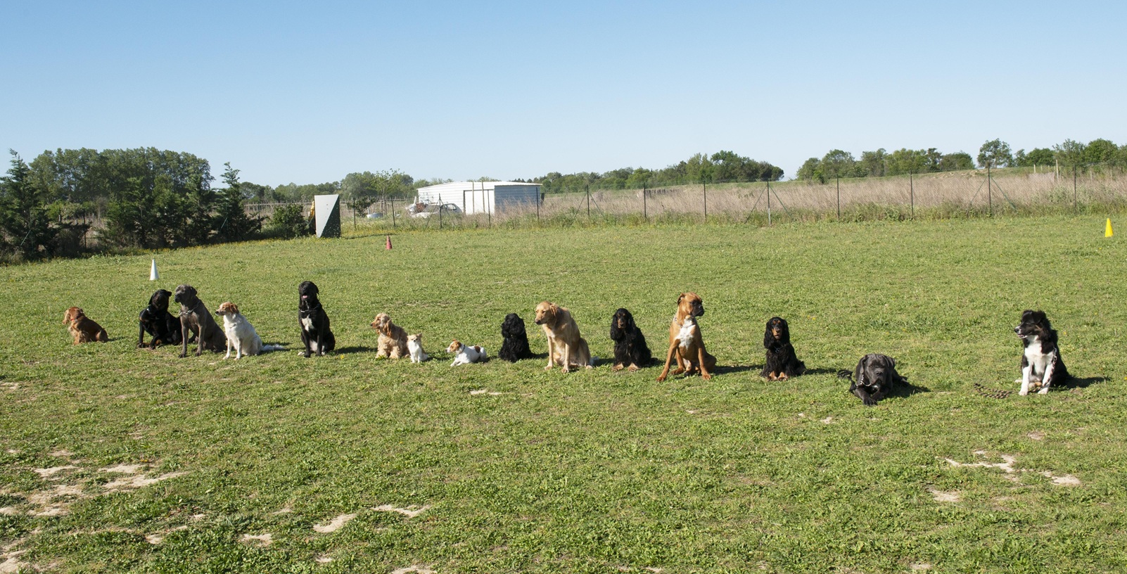 How Socialization Is Built Into Professional Training Programs