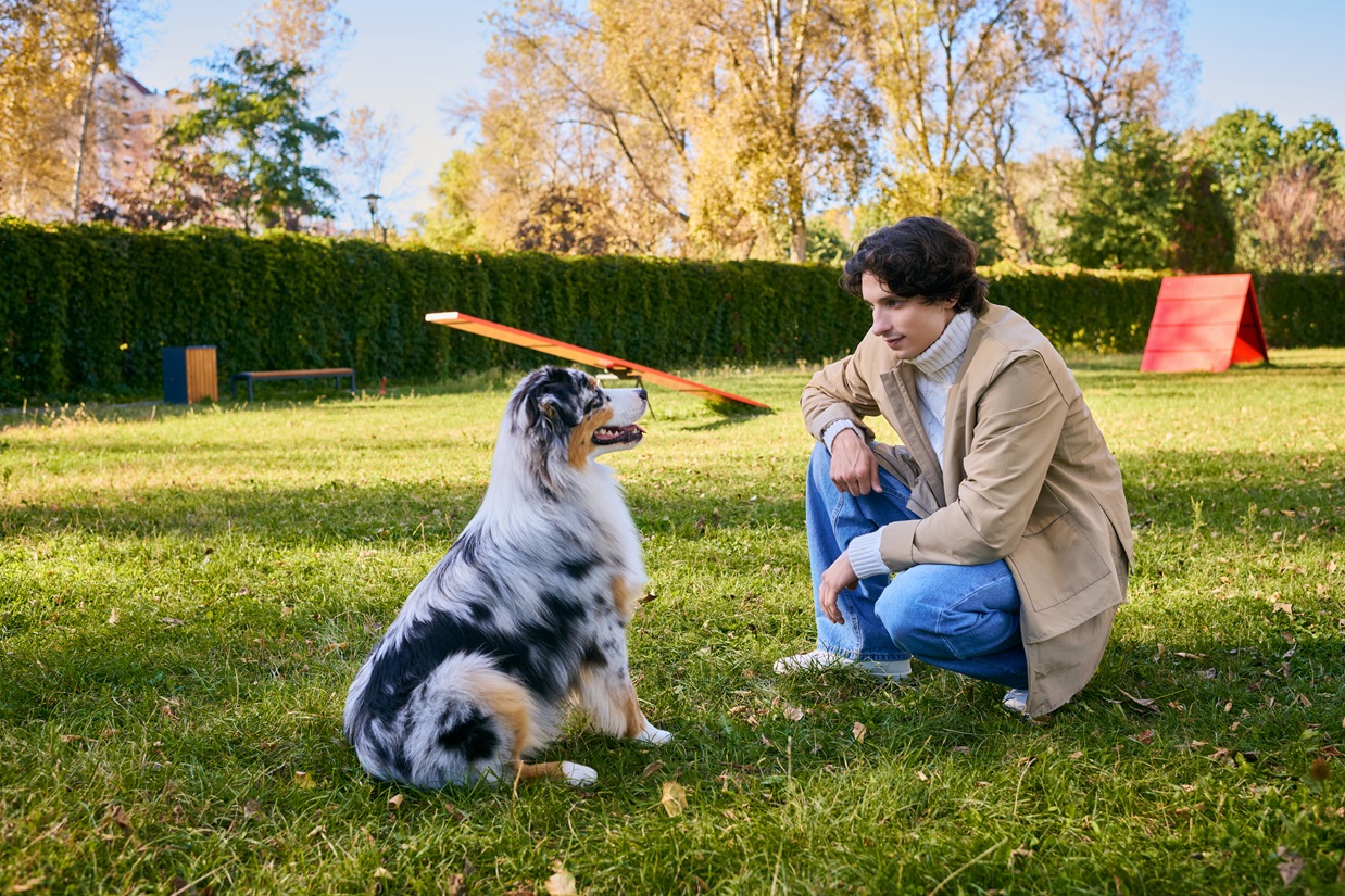 What Is Balanced Dog Training? A Simple Explanation